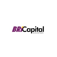 BRI Capital Ltd logo - Similar company to Trident Microfinance Bank Ltd