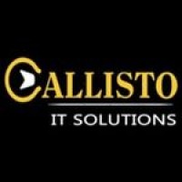 Callisto IT Solutions Nagpur logo - Similar company to Mlm Software+ App