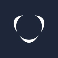Citymesh logo - Similar company to Digi