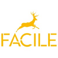 Facile Services Pvt Ltd logo - Similar company to Digitalzone