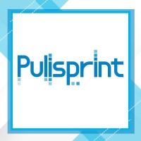 PULISPRINT SERVIZI s.r.l. logo - Similar company to Lova Edil Solutions