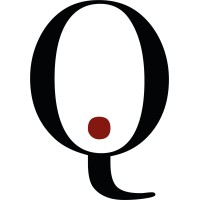 QIO - Quantitative Investment Office logo - Similar company to Bluesky Development Ag