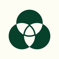 Intology logo - Similar company to Alphaxiv