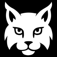 LYNX logo - Similar company to Cafira