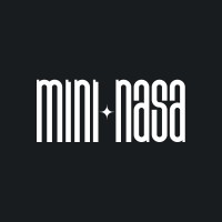 Mini-Nasa logo - Similar company to Dqa