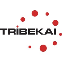 TRIBEKAI logo - Similar company to Centrale D Achat Ubaldi