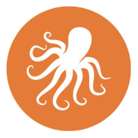 Orange Octopus logo - Similar company to Orange Octopus Consulting