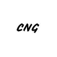 CNG Analytics logo - Similar company to Opentica
