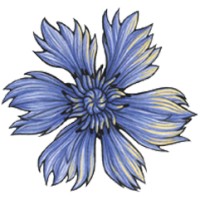 Enable.la logo - Similar company to Courage Films Pty Ltd