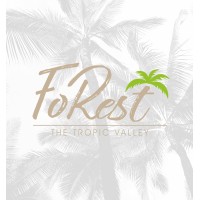 Forest The Tropic Valley