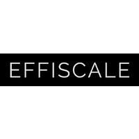 Effiscale logo - Similar company to Effisca Tax