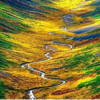 SLMD Consulting: B2B SaaS GTM logo - Similar company to Atlas - Archer Document Governance