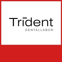 Trident – Dentallabor Flensburg logo - Similar company to Museumswerft Flensburg