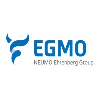 EGMO logo - Similar company to Endlesswater
