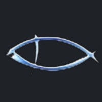 𝚰ꓘꃚ ͳ⏣꠹ logo - Similar company to Scité