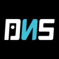 DNS-IT logo - Similar company to Braintic