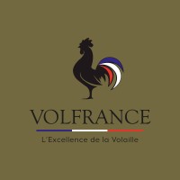 VOLFRANCE logo - Similar company to Volatys