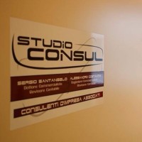 STUDIO CONSUL analisti aziendali in ottica ESG logo - Similar company to Consul-Vation, Inc.