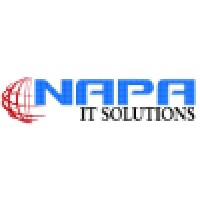 NAPA IT Solutions Private Limited India (NITS India) logo - Similar company to V Care Foundation