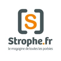 Strophe.fr logo - Similar company to Displayed Ux