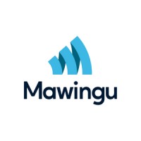 Mawingu logo - Similar company to Vilcom Networks Limited