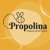 Propolina logo - Similar company to Digital Link Algérie