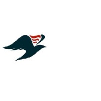 AFRIQUE AUDIT CONSEIL(AAC) BAKER TILLY logo - Similar company to Digitssolutions