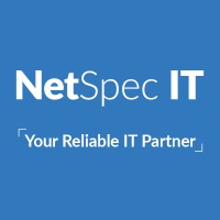 NetSpec IT logo - Similar company to Airworx Wireless Technologies Inc.