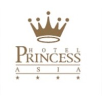 Asia Princess Hotel Kavacık logo - Similar company to Kavacık Amerikan Kültür Yabancı Dil Kursu