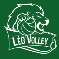 Léovolley logo - Similar company to Léoublon