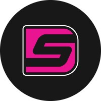 Detail Solutions logo - Similar company to Lusso Concierge