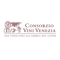 Consorzio Vini Venezia logo - Similar company to Vinos De Luz