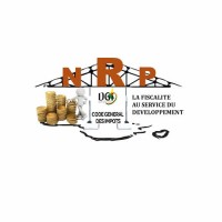 Cabinet NGALEUMO René & Partners logo - Similar company to Cabinet Diagnoscritik!