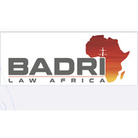 BADRI LAW AFRICA logo - Similar company to Artistic Mindset Pvt Ltd