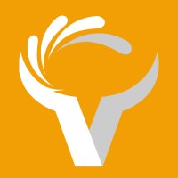 Valorz logo - Similar company to Iron Blood Games