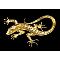 Golden Lizard Pty Ltd logo - Similar company to Ad Value Media
