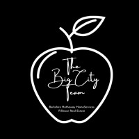The Big City Team at Berkshire Hathaway HomeServices Fillmore logo - Similar company to Luz = Light