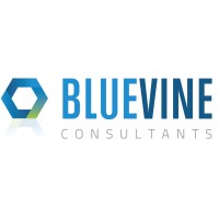 Blue Vine Consultants