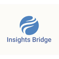 Insights Bridge logo - Similar company to Bridge Insight