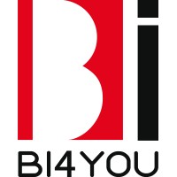BI4YOU logo - Similar company to VIRTUALDEV