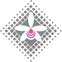Speed Shipping & Logistics