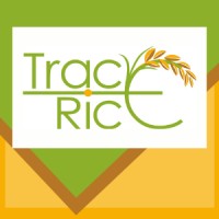 TRACE-RICE logo - Similar company to Flat Bread Mine