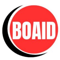 BOAIDFOUNDATION logo - Similar company to Bridge For Women Development Initiative
