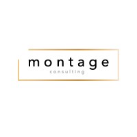 Montage Consulting logo - Similar company to Sentient Machines