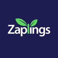Zaplings logo - Similar company to Codearies