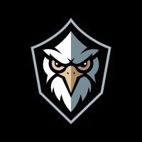 Spire Security Solutions logo - Similar company to Summit Lock & Safe