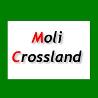 Moli Crossland logo - Similar company to Dorine Parmentier | French Localization Specialist For Saas And Games