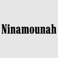 Studio Ninamounah logo - Similar company to Awaytomars