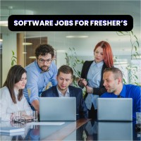 Software Jobs for Freshers logo - Similar company to Spring Boot With Microservices