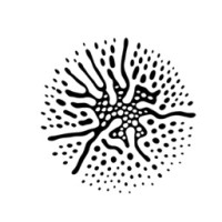 BrainMill Netherlands logo - Similar company to Brainmill Ab